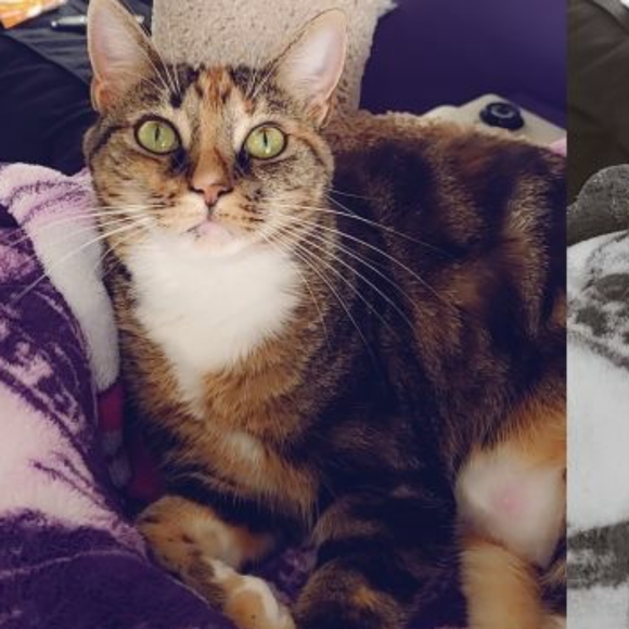 Meet your Posher, Hayley - Picture 5 of 8